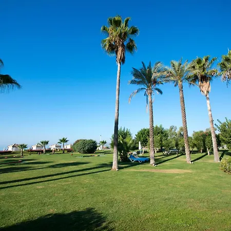 리조트 Limak Arcadia Sport 베렉